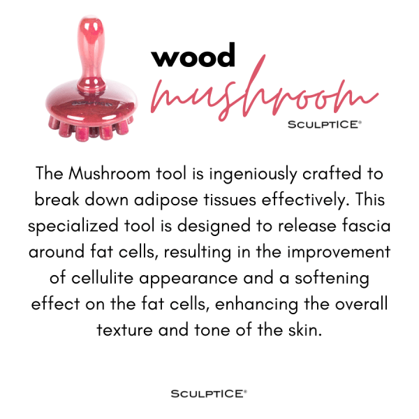 SculptICE Wood Mushroom2